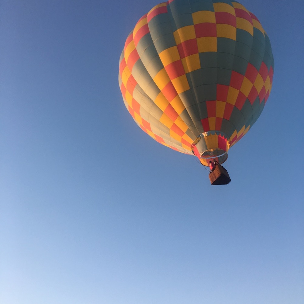 Meet your Posher, Bailey